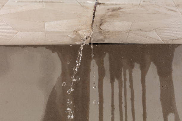 Professional Structural Drying technician working in Von Ormy, TX